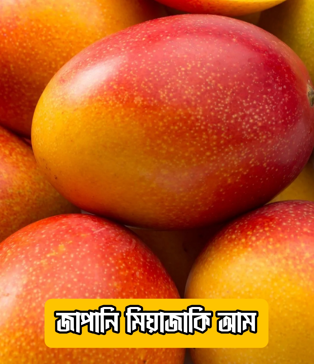 {"remix_data":[],"remix_entry_point":"challenges","source_tags":["local"],"origin":"unknown","total_draw_time":48614,"total_draw_actions":2,"layers_used":2,"brushes_used":0,"photos_added":0,"total_editor_actions":{},"tools_used":{"transform":1},"is_sticker":false,"edited_since_last_sticker_save":true,"containsFTESticker":false}