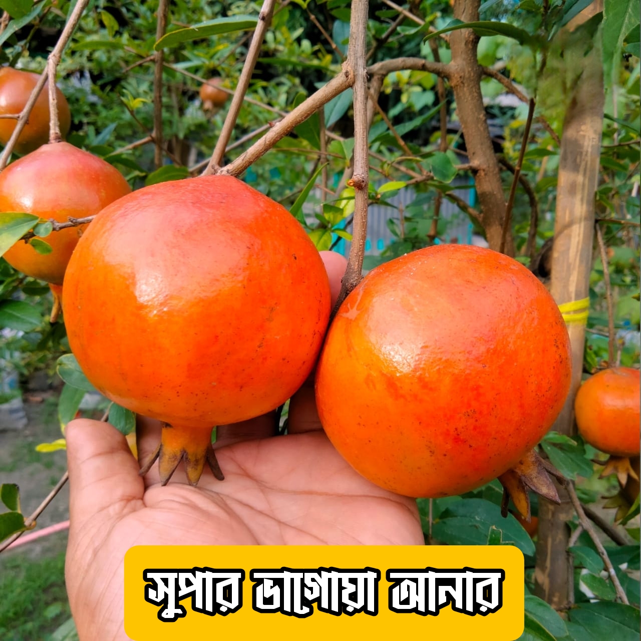 {"remix_data":[],"remix_entry_point":"challenges","source_tags":["local"],"origin":"unknown","total_draw_time":48791,"total_draw_actions":2,"layers_used":2,"brushes_used":0,"photos_added":0,"total_editor_actions":{},"tools_used":{"remove":1},"is_sticker":false,"edited_since_last_sticker_save":true,"containsFTESticker":false}