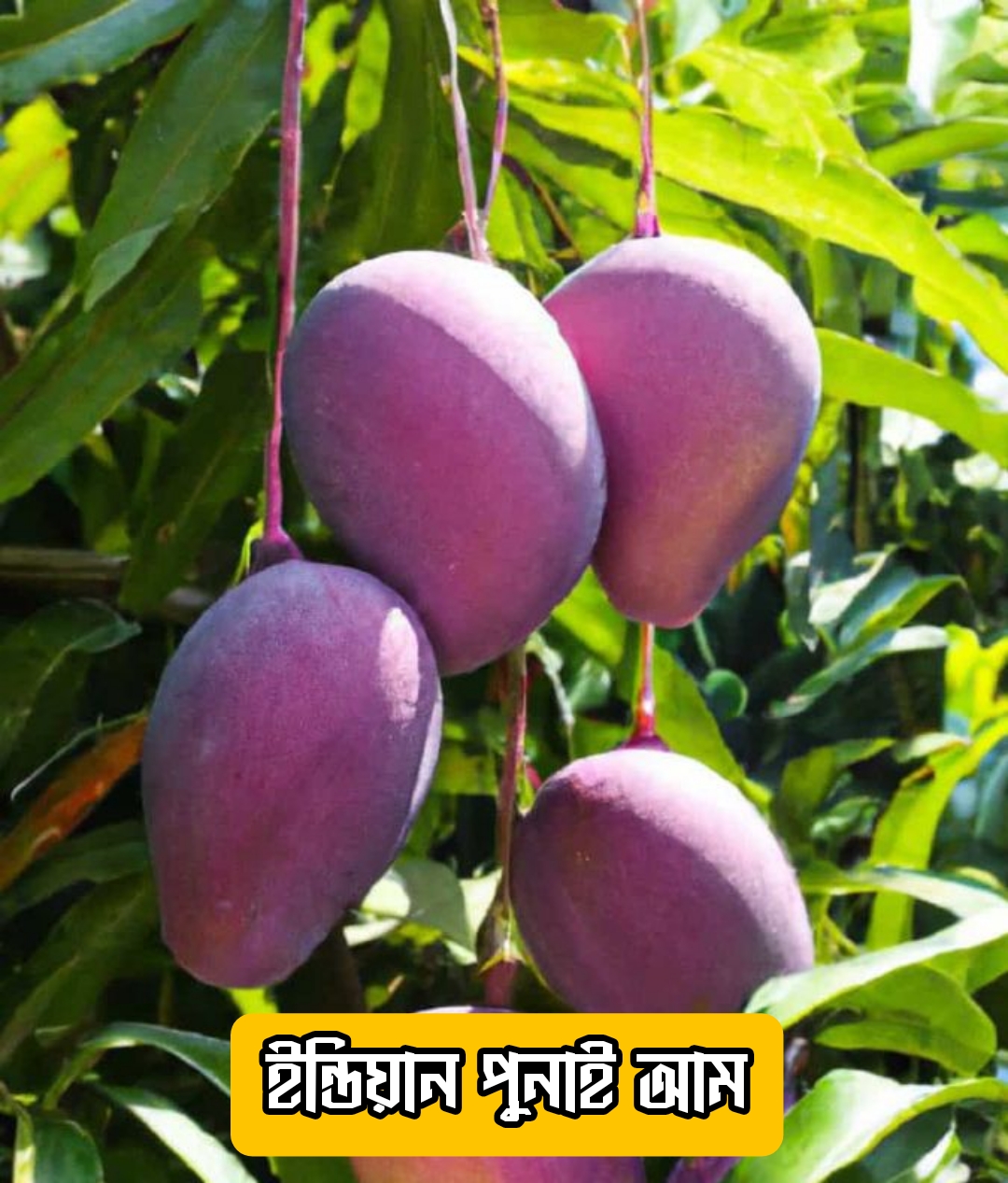 {"remix_data":[],"remix_entry_point":"challenges","source_tags":["local"],"origin":"unknown","total_draw_time":48887,"total_draw_actions":2,"layers_used":2,"brushes_used":0,"photos_added":0,"total_editor_actions":{},"tools_used":{"transform":1},"is_sticker":false,"edited_since_last_sticker_save":true,"containsFTESticker":false}