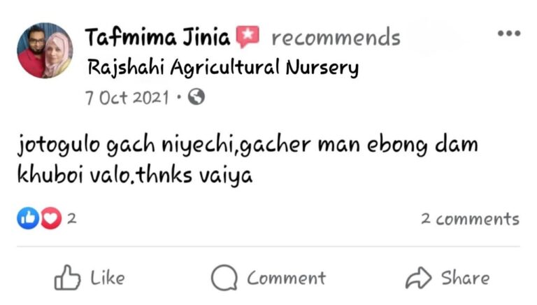 photo_2023-11-25_19-06-47 (2)