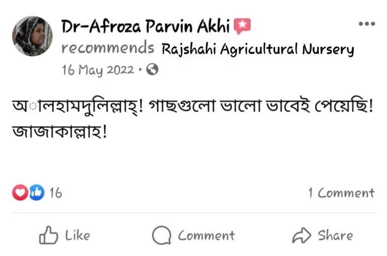 photo_2023-11-25_19-06-48